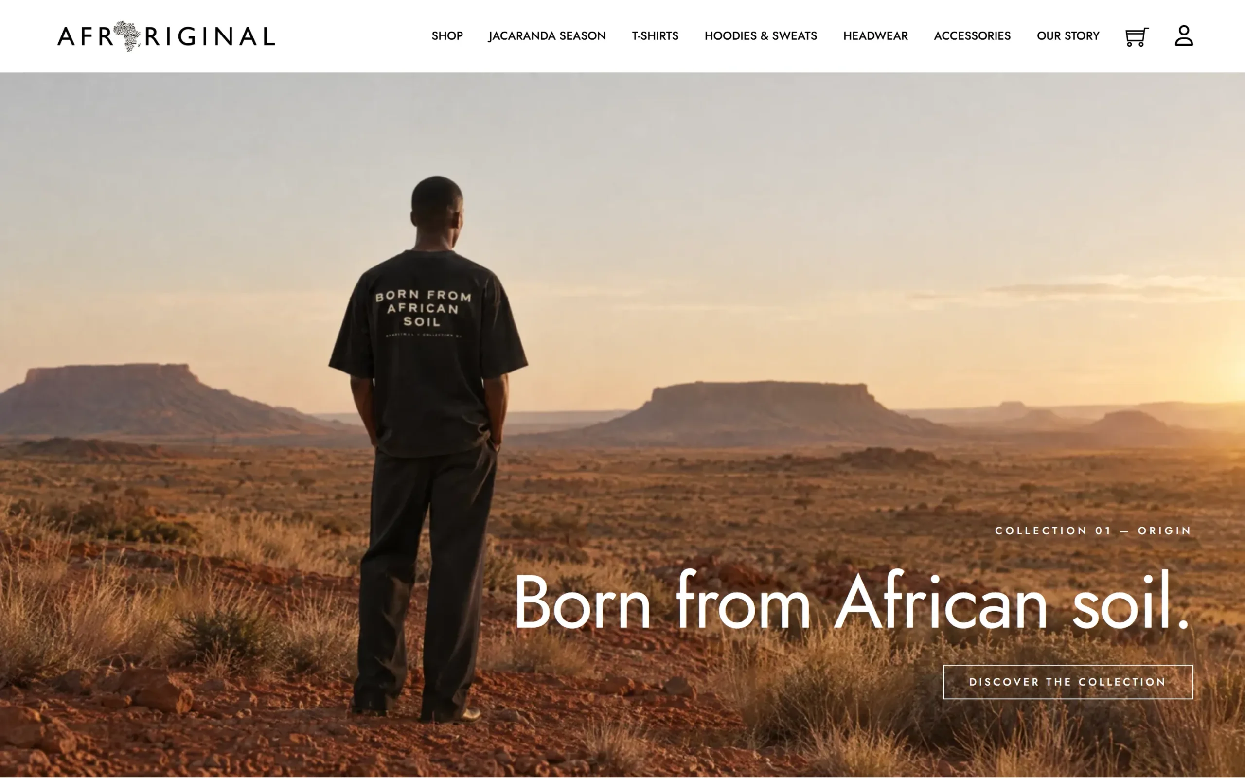 Afroriginal website on desktop