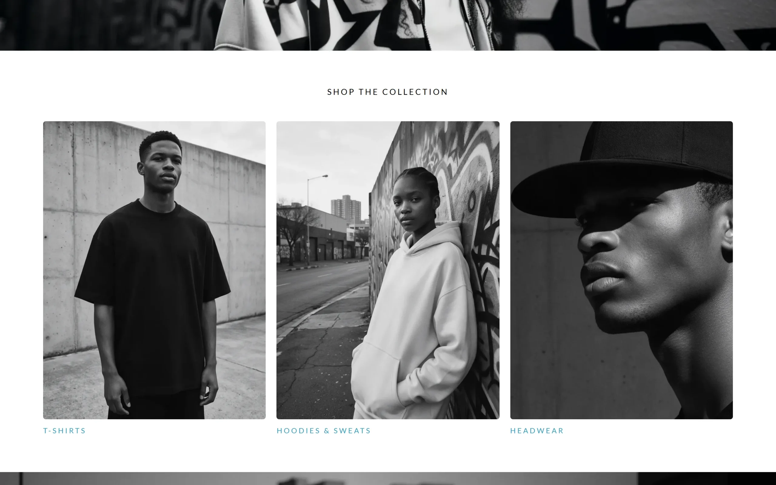 FNTCT website on desktop